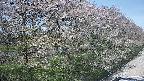 ochiai4-20250501122116.jpg