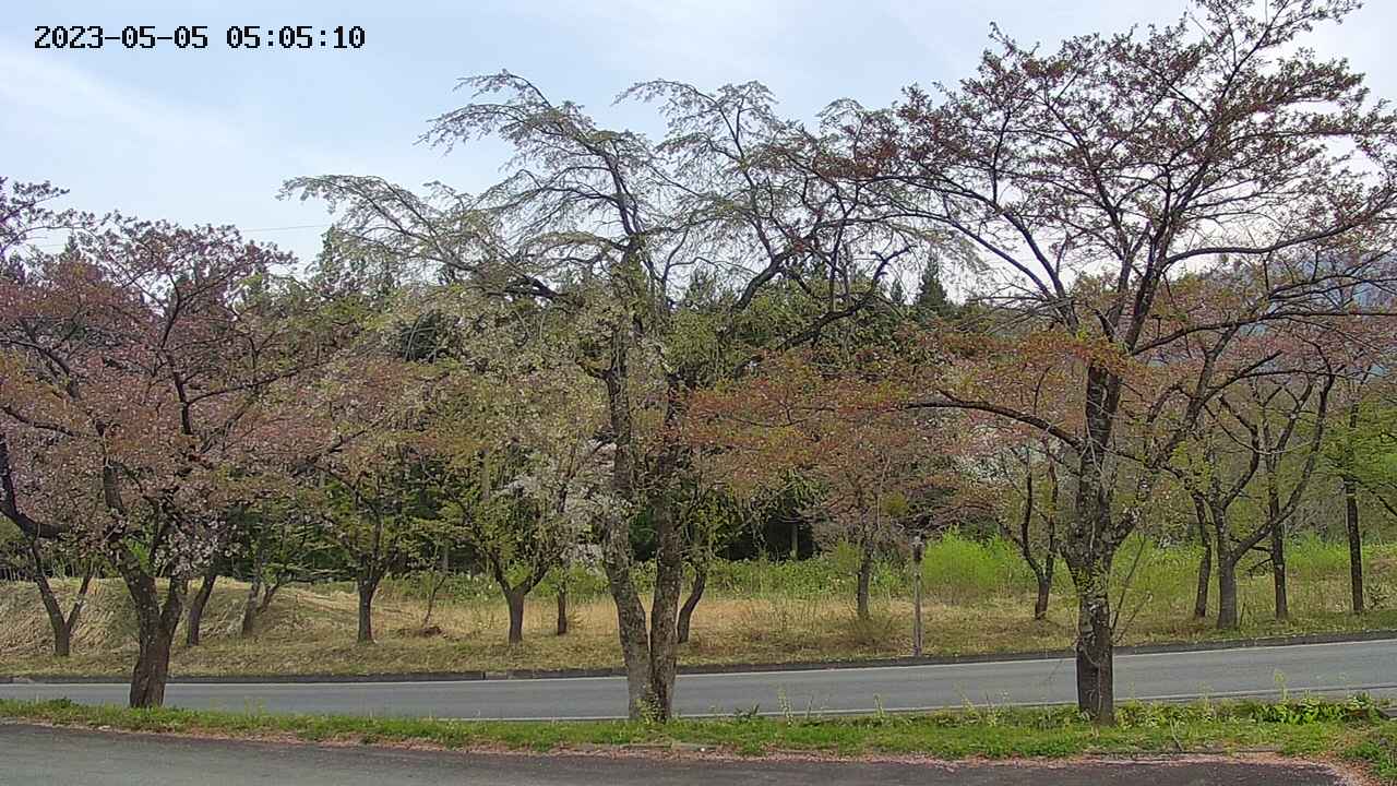 takano1-20230505050513.jpg