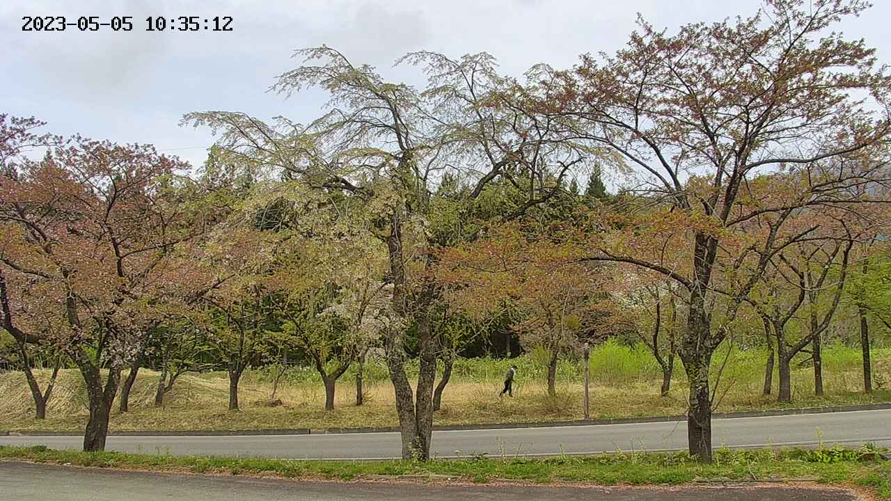 takano1-20230505103513.jpg