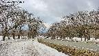 takano1-20250408120014.jpg