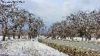 takano1-20250408122016.jpg