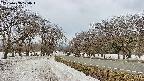 takano1-20250408124017.jpg