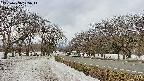 takano1-20250408125014.jpg