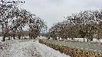 takano1-20250408131016.jpg