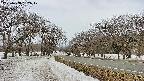 takano1-20250408132018.jpg