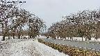 takano1-20250408134015.jpg