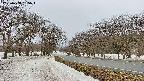 takano1-20250408135016.jpg