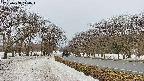 takano1-20250408140017.jpg