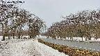 takano1-20250408143017.jpg