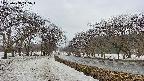 takano1-20250408145017.jpg