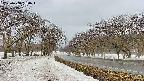takano1-20250408150017.jpg