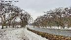 takano1-20250408151016.jpg