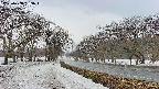 takano1-20250408153017.jpg