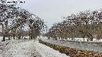 takano1-20250408154017.jpg