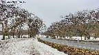 takano1-20250408155018.jpg