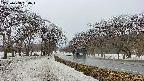 takano1-20250408160017.jpg