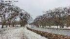 takano1-20250408161015.jpg