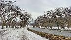 takano1-20250408162016.jpg