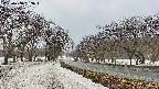 takano1-20250408163017.jpg