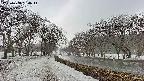 takano1-20250408164015.jpg
