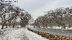 takano1-20250408165017.jpg