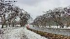 takano1-20250408174019.jpg