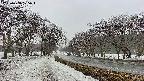 takano1-20250408175016.jpg
