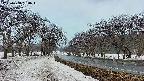 takano1-20250408180017.jpg