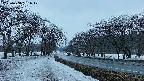 takano1-20250408181018.jpg