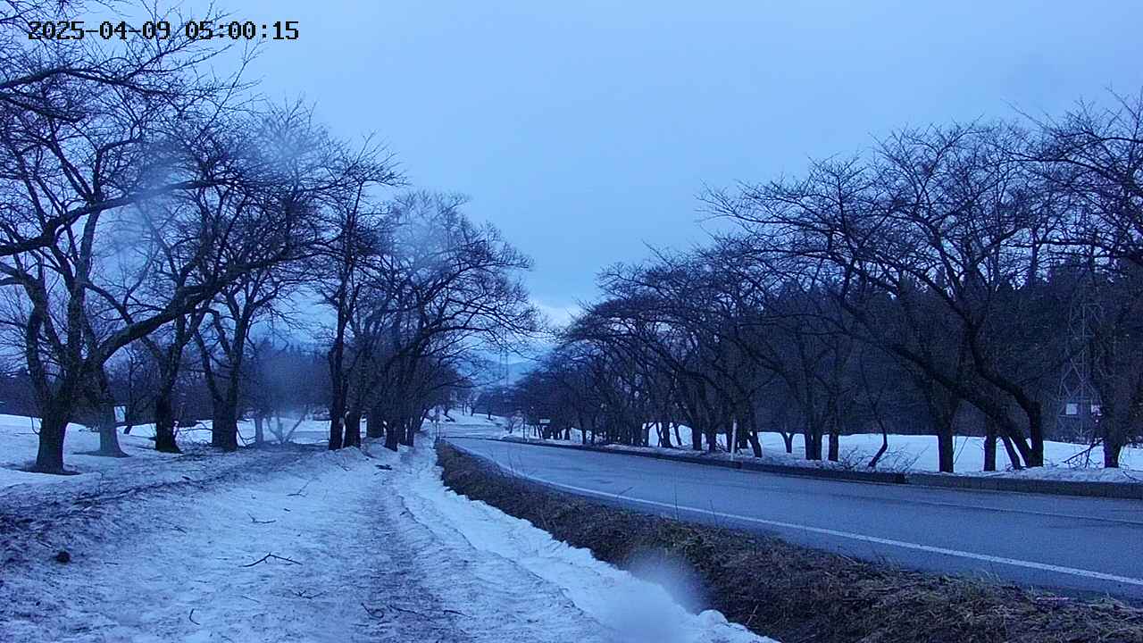 takano1-20250409050017.jpg