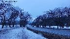 takano1-20250409050017.jpg