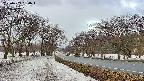 takano1-20250409060016.jpg