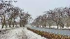 takano1-20250409061017.jpg
