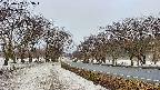 takano1-20250409063017.jpg