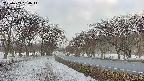 takano1-20250409064015.jpg