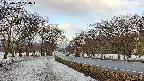 takano1-20250409070017.jpg
