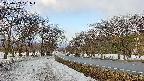 takano1-20250409071017.jpg