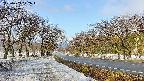 takano1-20250409072017.jpg