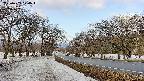 takano1-20250409074017.jpg