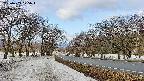 takano1-20250409075017.jpg