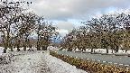 takano1-20250409081017.jpg