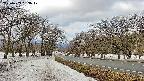 takano1-20250409083019.jpg