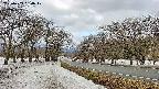 takano1-20250409084018.jpg