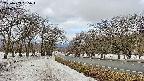takano1-20250409085017.jpg