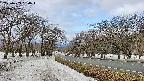 takano1-20250409090017.jpg