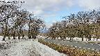takano1-20250409091018.jpg