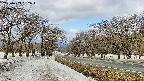 takano1-20250409092018.jpg