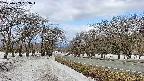 takano1-20250409093018.jpg