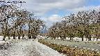 takano1-20250409094018.jpg