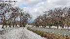 takano1-20250409100017.jpg